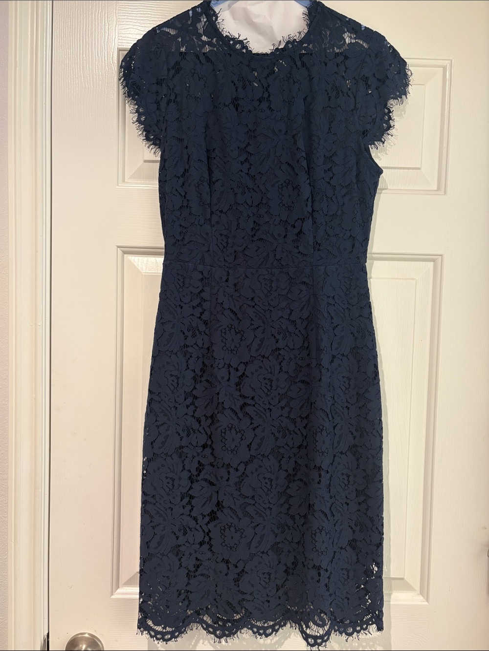 Merokeety Lace Cap-Sleeve Sheath Dress in Navy